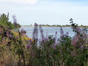 Medemblik, de Vooroever