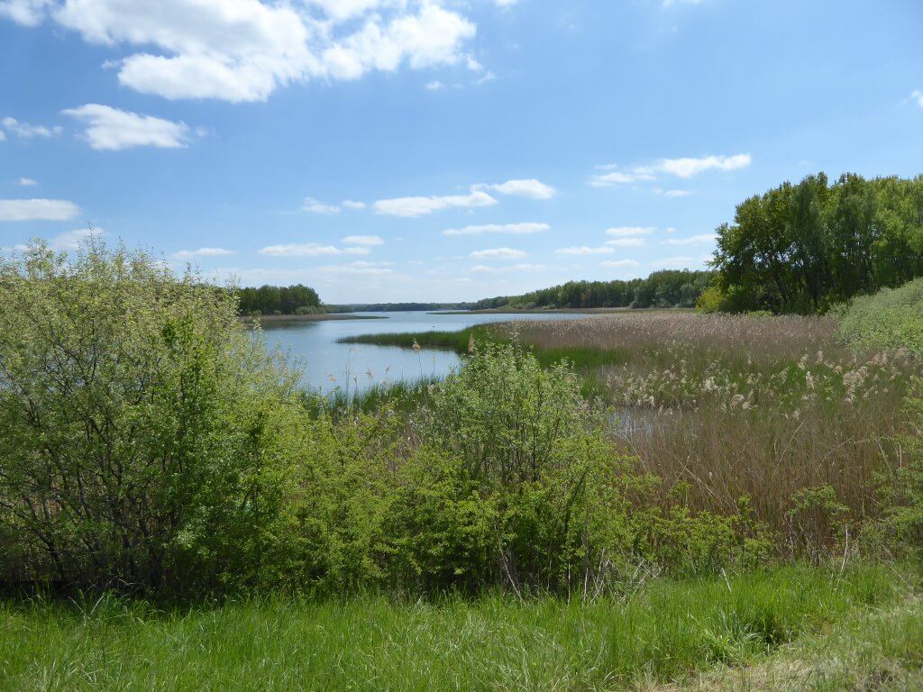 Lac de Madine