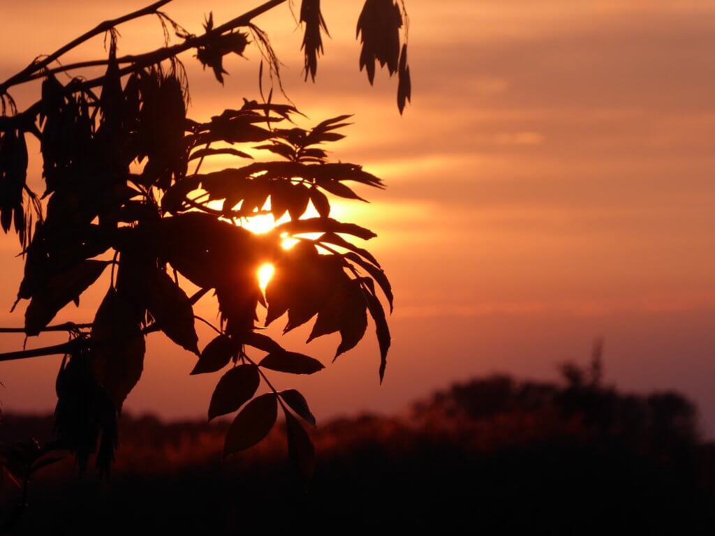 Golden Hour - Avondrood