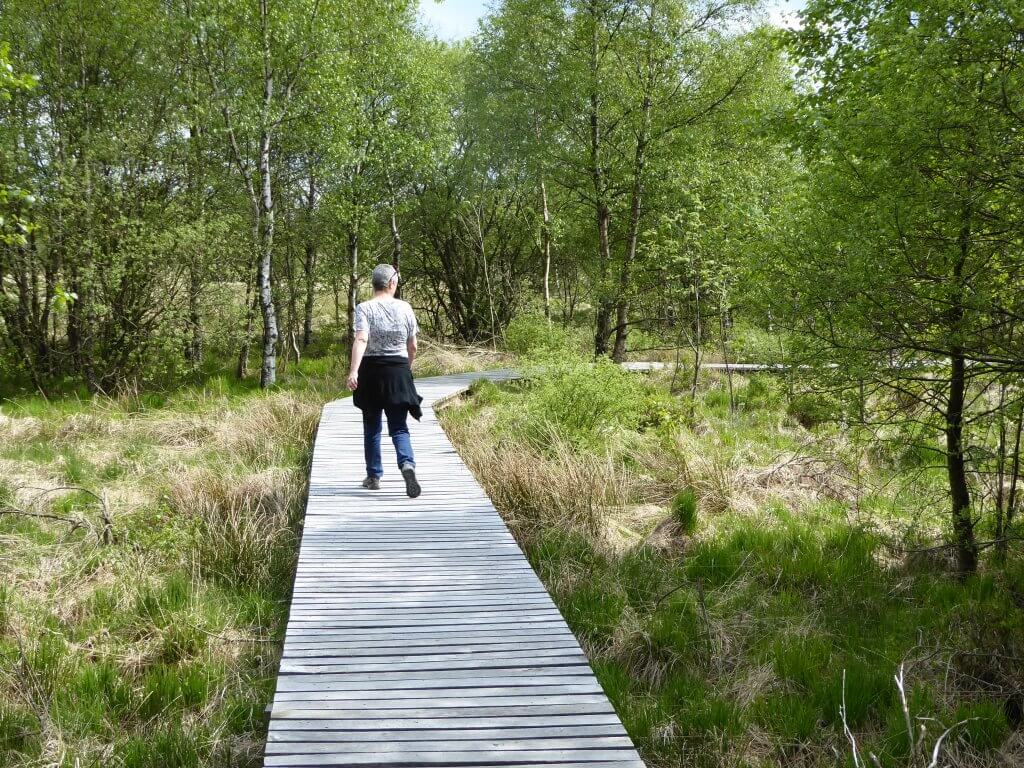 Wandelen op plankier