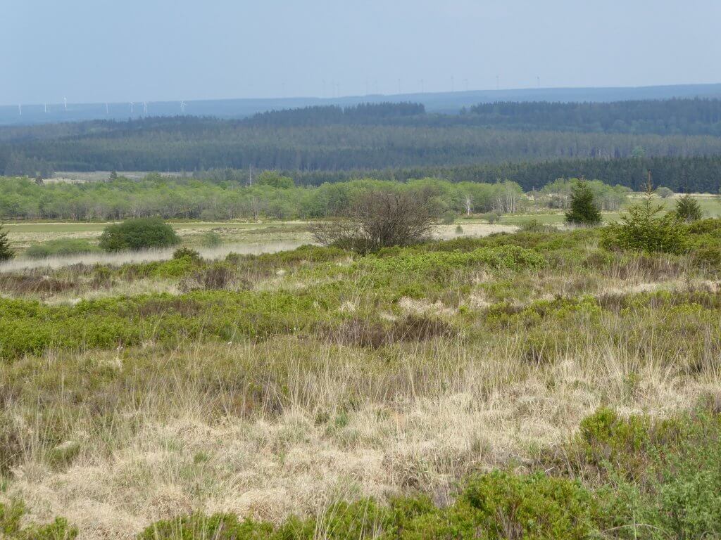 Uitzicht vanaf Signal de Botrange