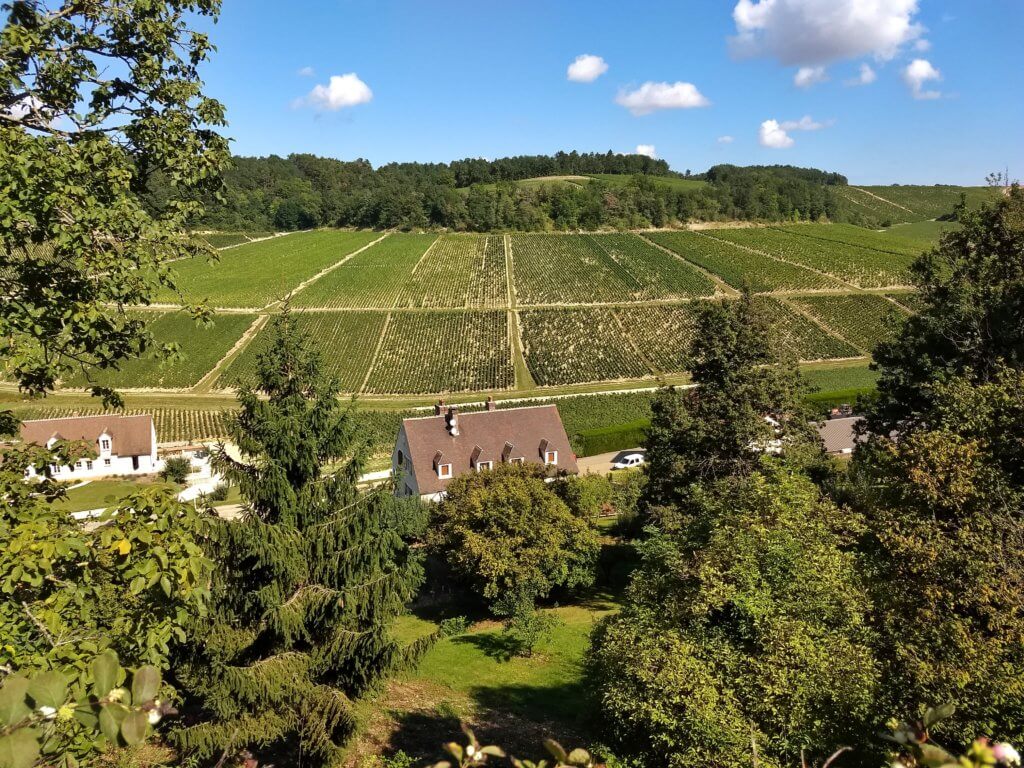 Lunch in Chablis