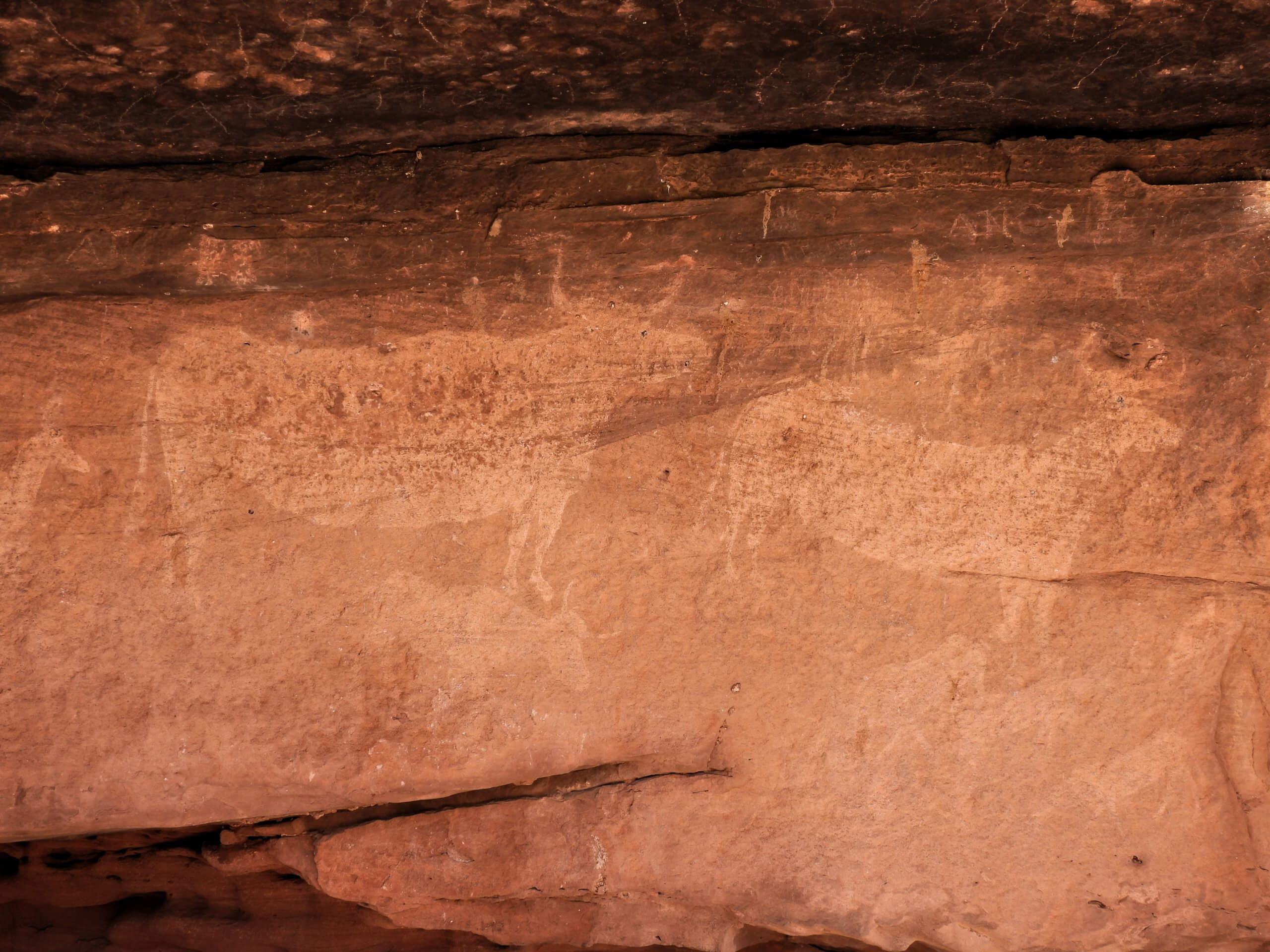 Albarracín - Rotsschilderingen (Pinturas Rupestres)