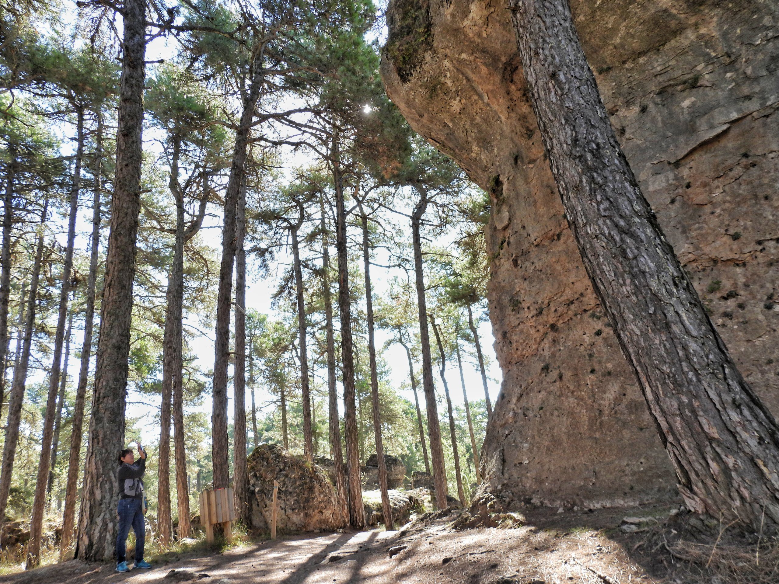 Ciudad Encantada - Groot!