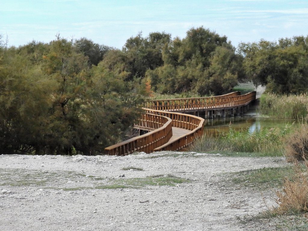 Tablas de Daimiel