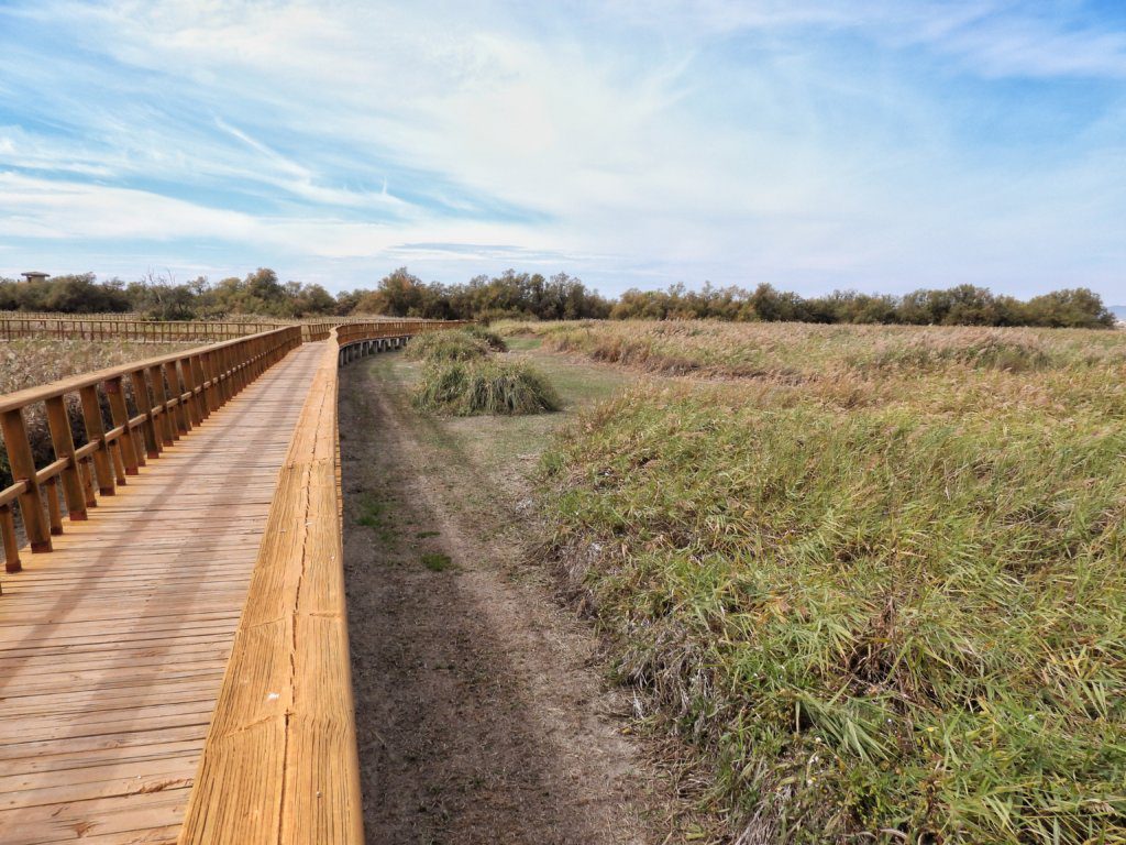 Tablas de Daimiel