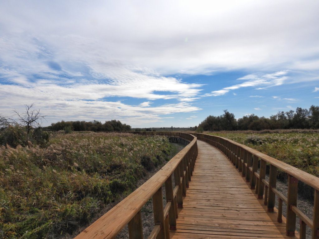 Tablas de Daimiel