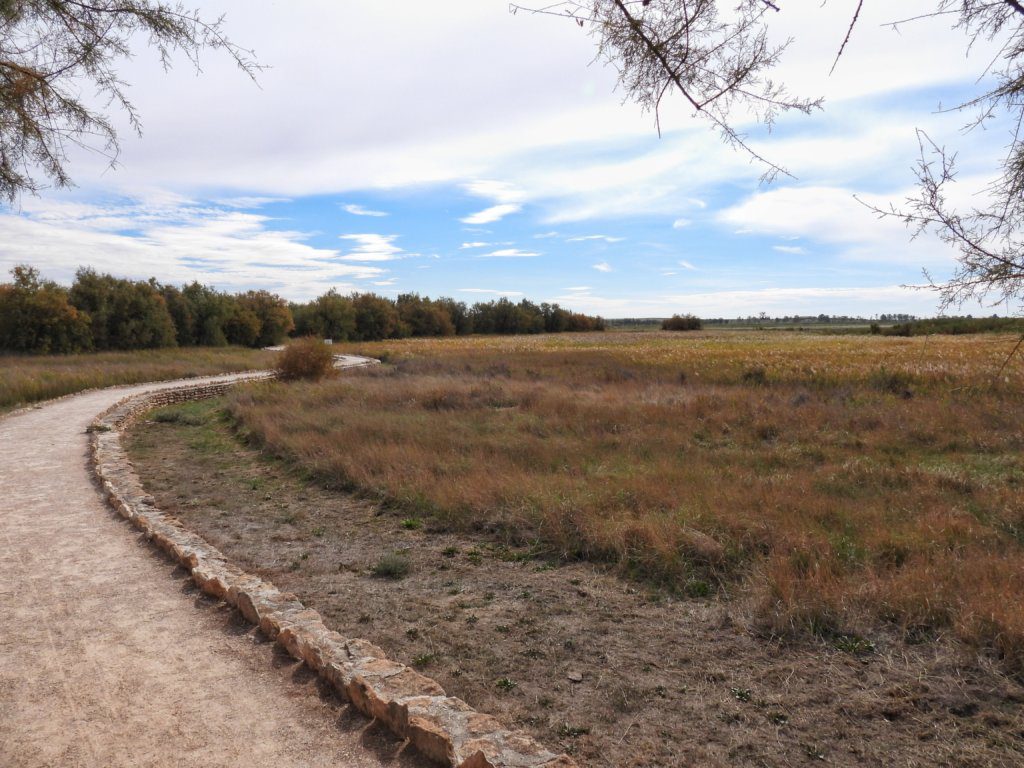 Tablas de Daimiel