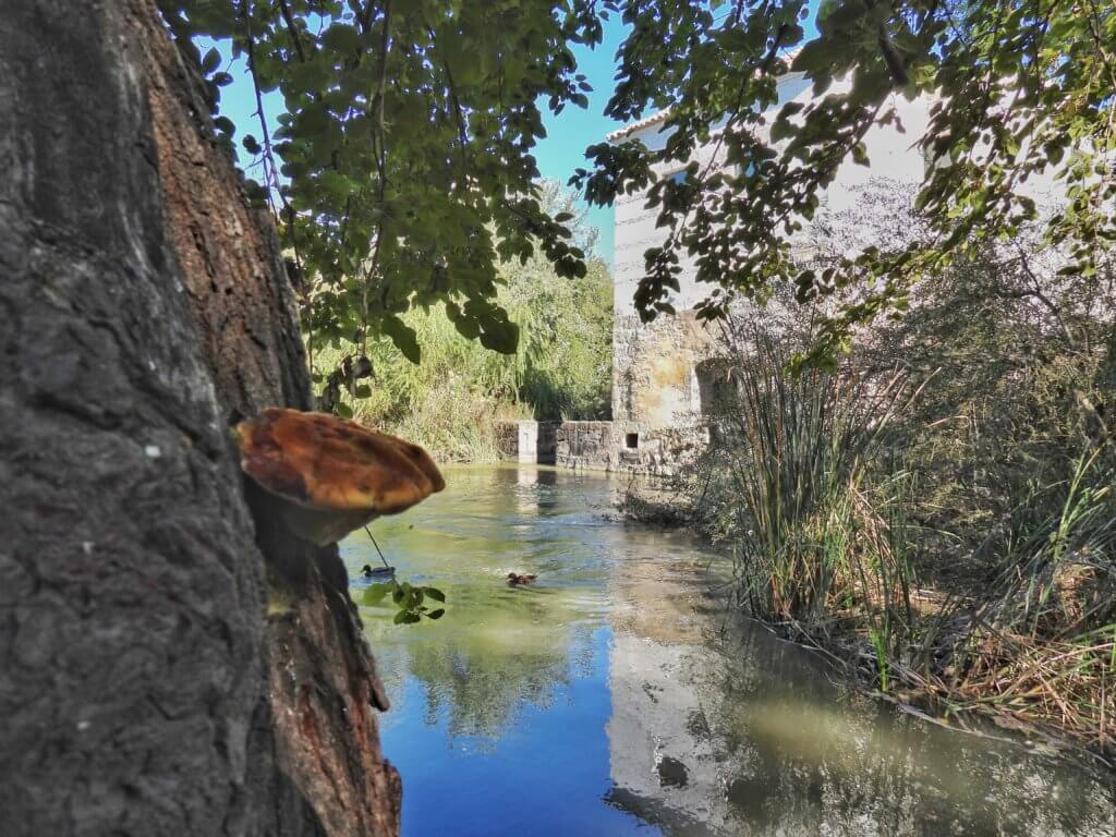 Córdoba - Molina de San Antonio