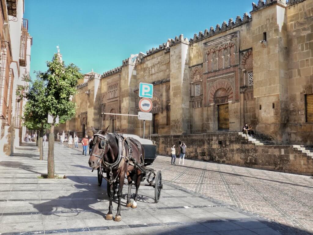 Córdoba - Mezquita Zijmuur