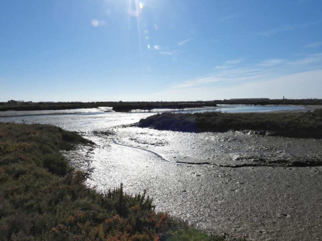 Marismas de Isal Crinstina