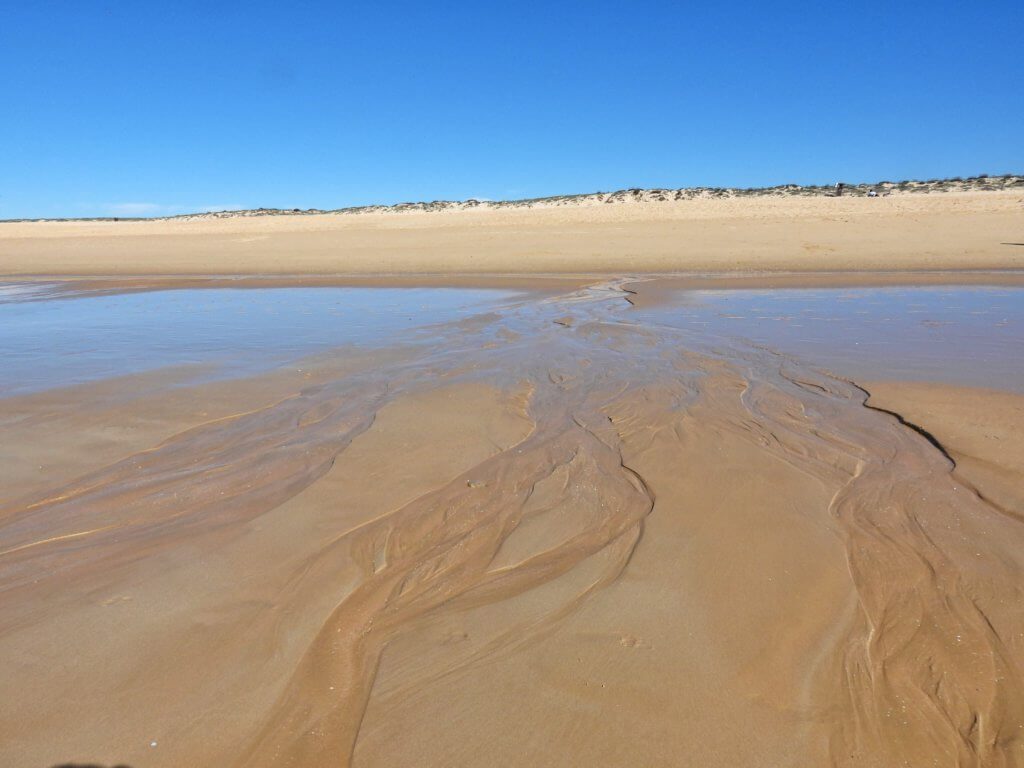 Strand en Duin