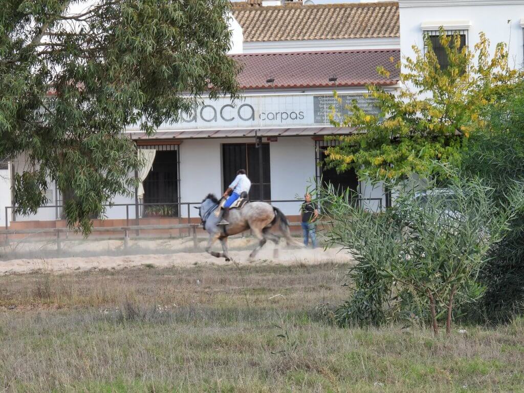 El Rocio