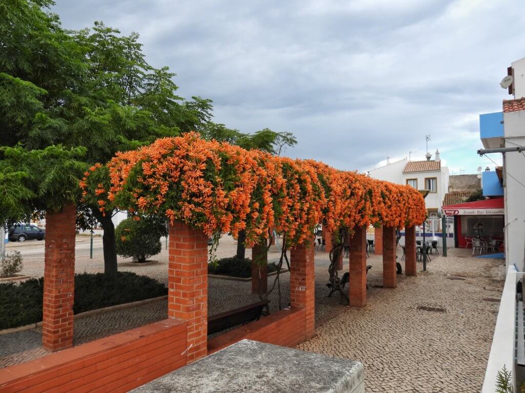 Vila do Bispo