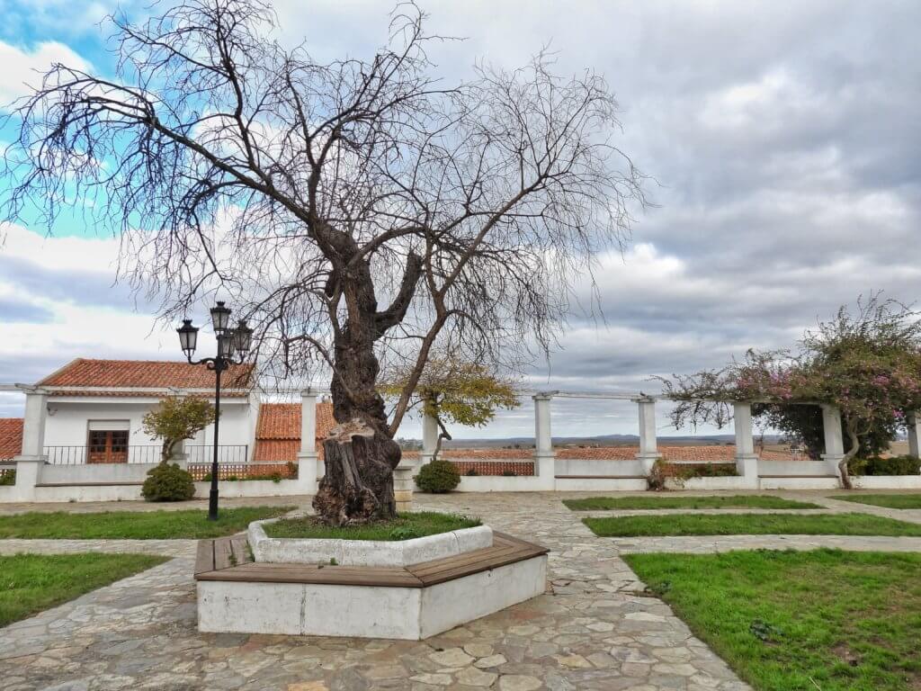 Castro Verde - Basilica Real de Nossa Senhora da Conceição