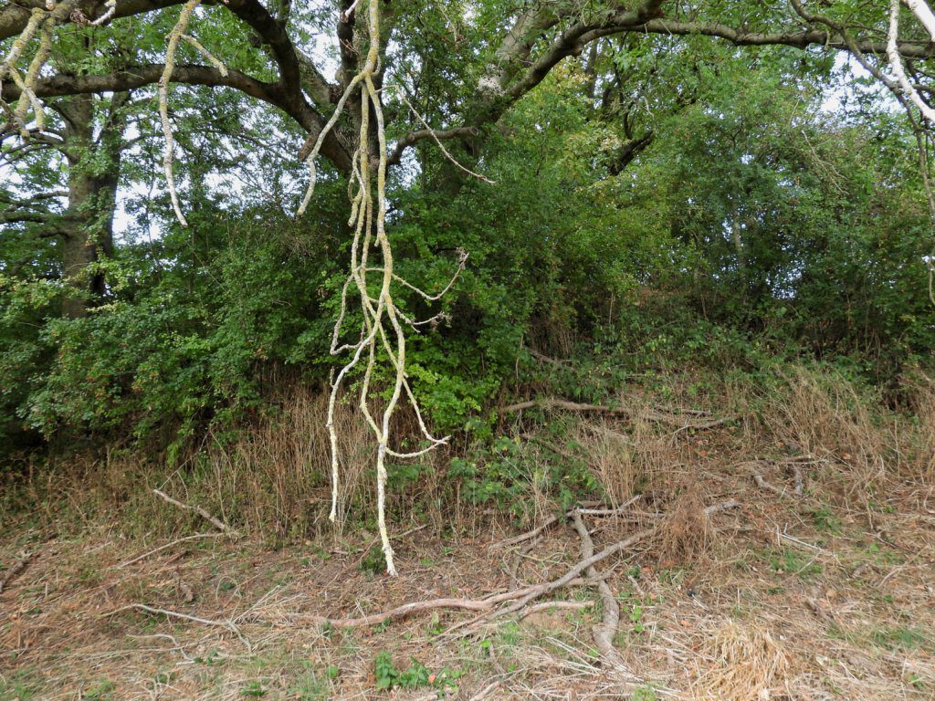 Motheuvel 'de tombe van Pepijn', Sinte Gitter