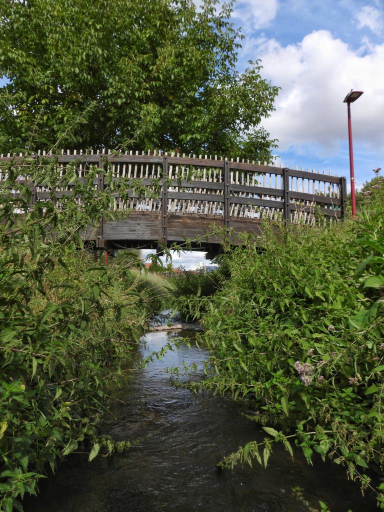 Beek en Brug, De Beemden