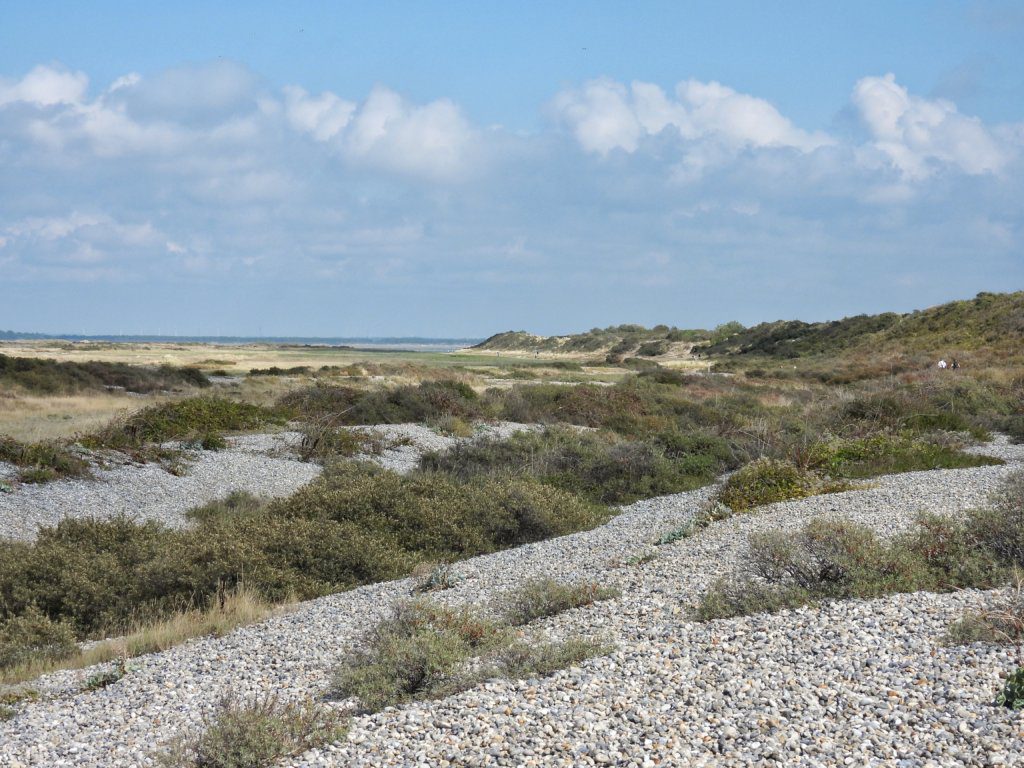 Strand van grof grind