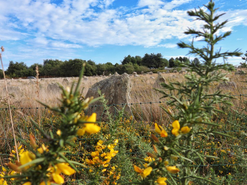 Menhirs