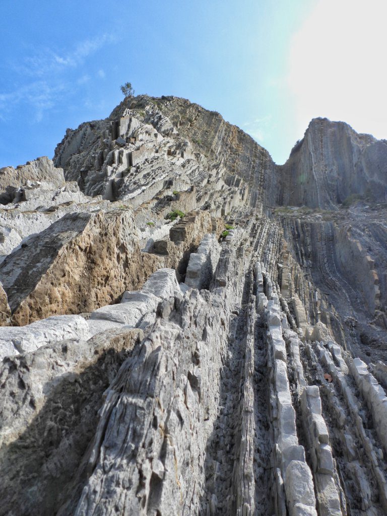 Flysch