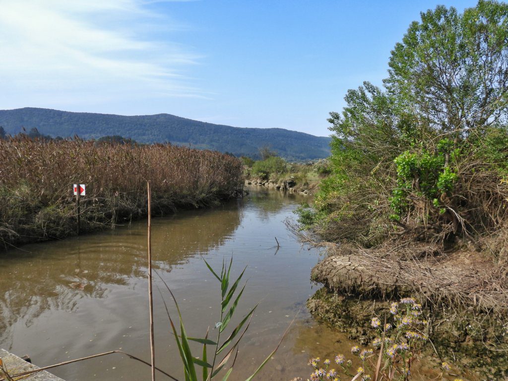 Urdaibai Wetland