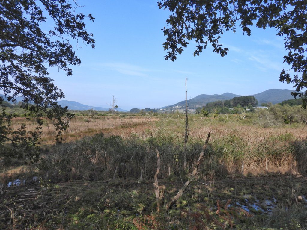 Weids landschap