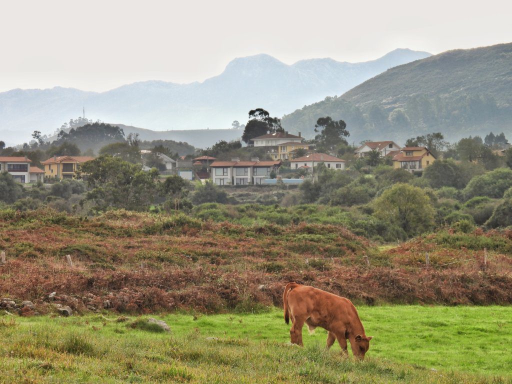 Picos de Europa