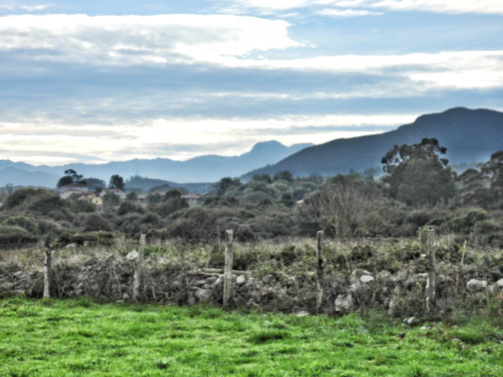 Picos de Europa