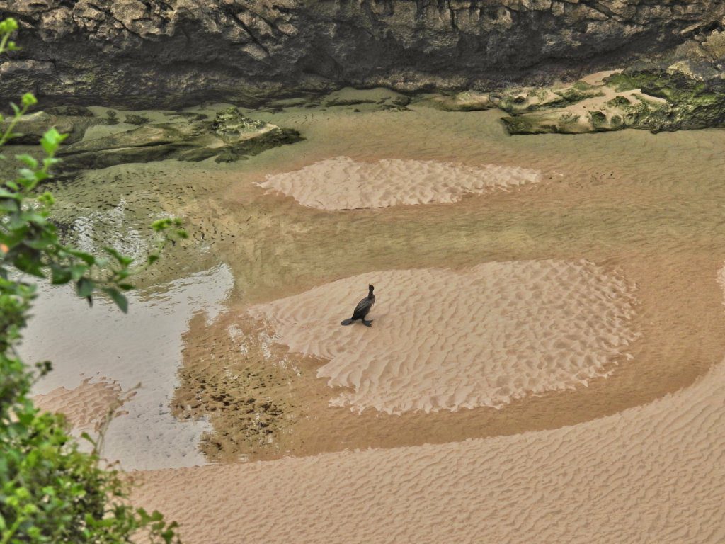 Playa Guadamia