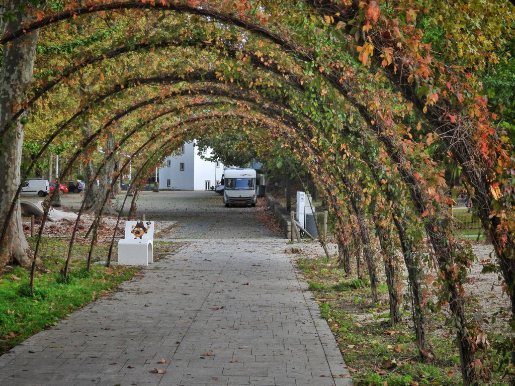 Parque das Caldas