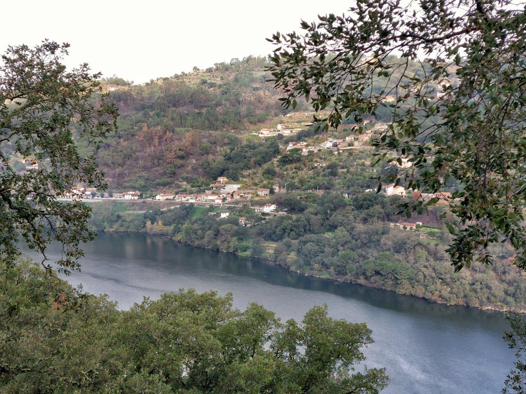 Douro vallei